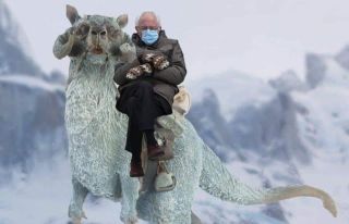 Bernie Sanders - memy