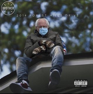 Bernie Sanders - memy