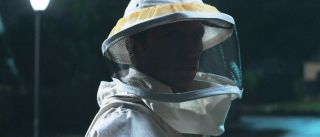 W sieci pojawiło się wiele teorii na temat tego, kim jest tajemniczy „Pszczelarz” – niektórzy dostrzegali w nim nawet złoczyńcę Grim Reapera, mającego olbrzymi wpływ na wydarzenia w komiksie „Vision” ze scenariuszem Toma Kinga. Wygląda jednak na to, że mamy tu do czynienia ze zwykłym agentem S.W.O.R.D. o nazwisku Franklin, którego specjalny strój po wejściu do Westview zamienił się w kostium pszczelarski. 