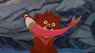 Mój brat niedźwiedź 2