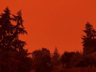 Autor zdjęcia stwierdził, że przypomina ono fragment Stranger Things. Trudno się z tym nie zgodzić 