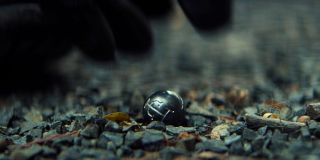 Przedmioty, które odnajduje Bucky w Rydze, to koraliki kimoyo, wprowadzone do komiksowego świata Wakandy przez scenarzystę Ta-Nehisiego Coatesa. Mieszkańcy afrykańskiego państwa noszą je jako ozdobę, przy czym każdy z nich pełni dodatkowo inną funkcję; np. ten, którego w filmie „Czarna Pantera” używała Nakia, monitorował czynności życiowe. 