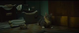 W sieci pojawiła się teoria, według której pokazany w zwiastunie kot należy do kosmicznej rasy flerkenów, tej samej, z której wywodził się Goose z „Kapitan Marvel”. Przypomnijmy, że pomimo przybieranego ciała żywiciela rasa ta potrafi być śmiertelnie niebezpieczna.