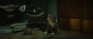 W pokoju innego pracownika TVA, który nakazuje Lokiemu podpisać wszystko, co do tej pory powiedział, widzimy kota. Powstały już spekulacje, czy mamy tu do czynienia z Flerkenem, przedstawicielem kosmicznej rasy, której reprezentantem był również Goose w „Kapitan Marvel”. 