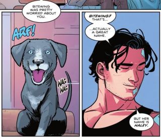 Nightwing #81 - plansze