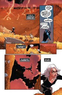 Black Cat #7 - plansze