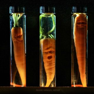 Popkulturowe rzeźby z warzyw i owoców