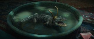 Obok baseniku aligatora Lokiego widać egzemplarz książki „The Mystery and Lore of Monsters” Charlesa J.S. Thompsona z 1930 roku.