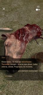 Wiedźmin: Pogromca Potworów