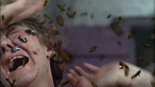 The Deadly Bees