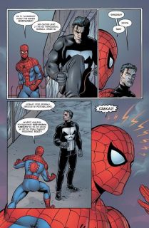 Punisher. Marvel Knights