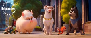 DC's League of Super-Pets