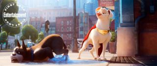 DC's League of Super-Pets
