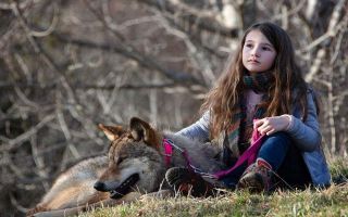 1. Vicky and Her Mystery - 8,15 mln godzin