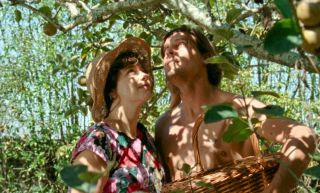 41. Dzienniki ewoinpreis