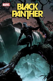 Black Panther #3 - okładka alternatywna