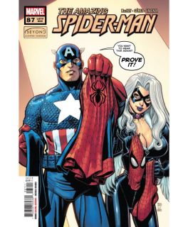 The Amazing Spider-Man #87 - okładka