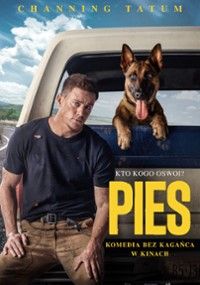 Pies