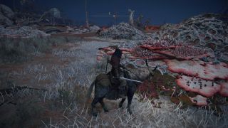 Elden Ring - screeny z gry