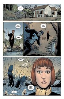 Punisher. Marvel Knights - Tom 2