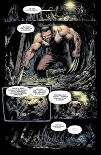 Punisher. Marvel Knights - Tom 2