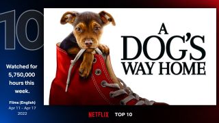 10. O psie, który wrócił do domu - 5,75 mln godzin