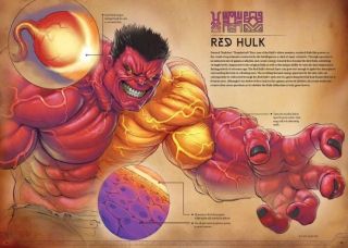Marvel Anatomy: A Scientific Study of the Superhuman - przykładowe strony