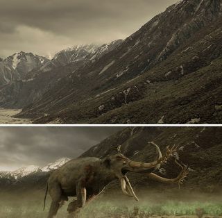 Pola Pelennoru - inne ujęcie (w prawdziwym świecie to już część Parku Narodowego Góry Cooka)