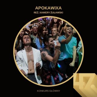 Apokawixa