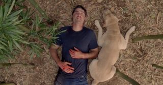 Alternatywne zakończenia