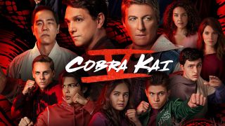10. Cobra Kai (sezon 5) – 8,67