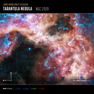 Teleskop Webba - Mgławica Tarantula (MIRI - kompas)