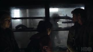 The Last of Us