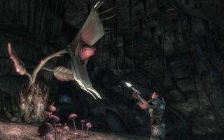 21. Fallout: New Vegas – Honest Hearts (DLC) – średnia ocen 66/100