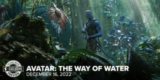 Avatar: Istota wody