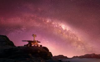 Dobranoc, Oppy - zdjęcia