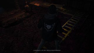 Resident Evil Village_Shadow of Rose DLC