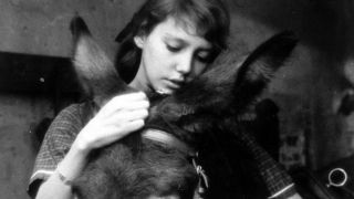 37. Na los szczęścia, Baltazarze! (1966)
