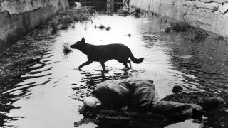 14. (ex aequo) Stalker (1979)