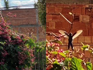 Przykłady pareidolii na Ziemi