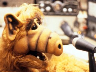 Alf