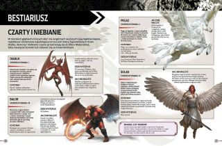 D&D. Księga gry - wygląd