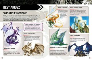 D&D. Księga gry - wygląd