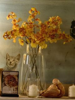 Zdjęcie zrobione Huawei P60 Pro