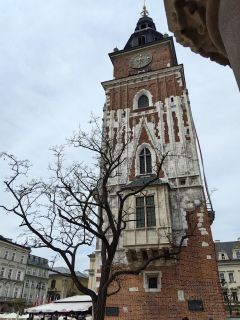 Zdjęcie zrobione Huawei P60 Pro