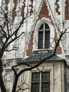 Zdjęcie zrobione Huawei P60 Pro