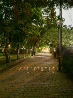 Zdjęcie zrobione Huawei P60 Pro