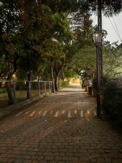 Zdjęcie zrobione Huawei P60 Pro