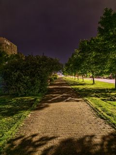 Zdjęcie zrobione Huawei P60 Pro