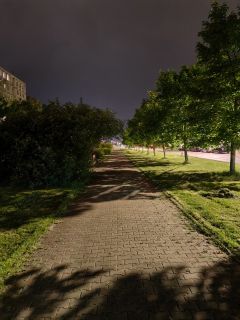 Zdjęcie zrobione Huawei P60 Pro